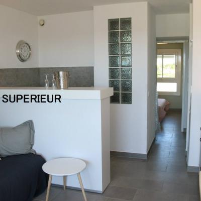 Studio Standard & Supérieur 